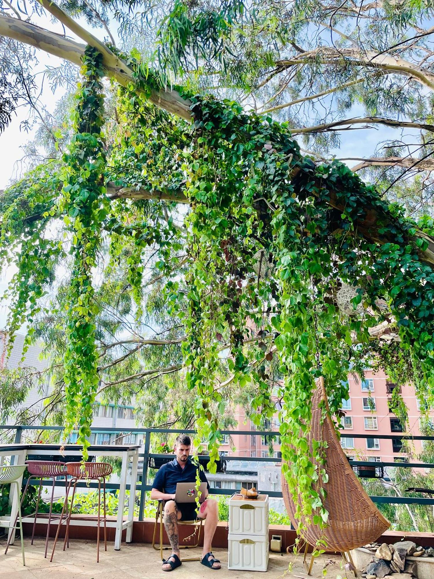 Kunming Upland International Youth Hostel Near The City Center ,2 Mins Walk To The Subway, 2 Mins Walk To The Green Lake, Close To Yuan Tong Temple, Old Street, Yunnan University, English-Speaking Service Convenient Payment And Visa Cards Are Accepte Buitenkant foto